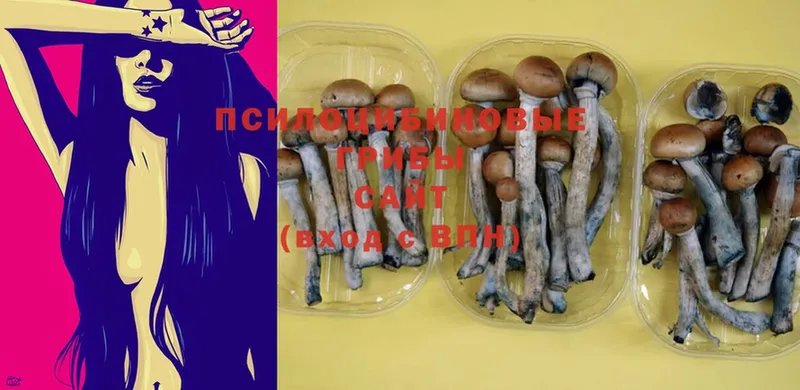 Галлюциногенные грибы MAGIC MUSHROOMS  наркота  Набережные Челны 